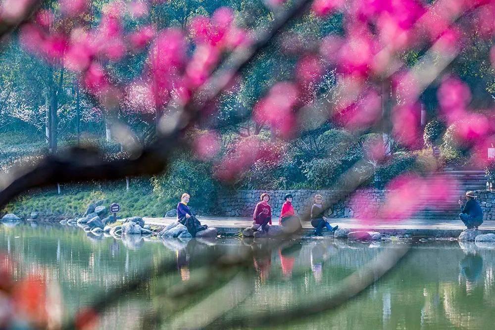 测试你的桃花运